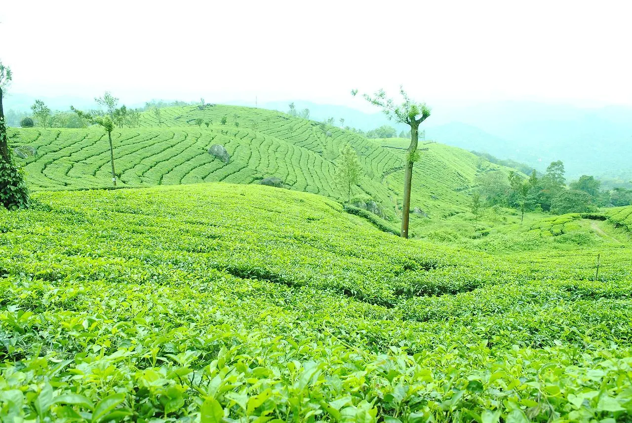 ** Hotel Tranquil Valley Resort Munnar India